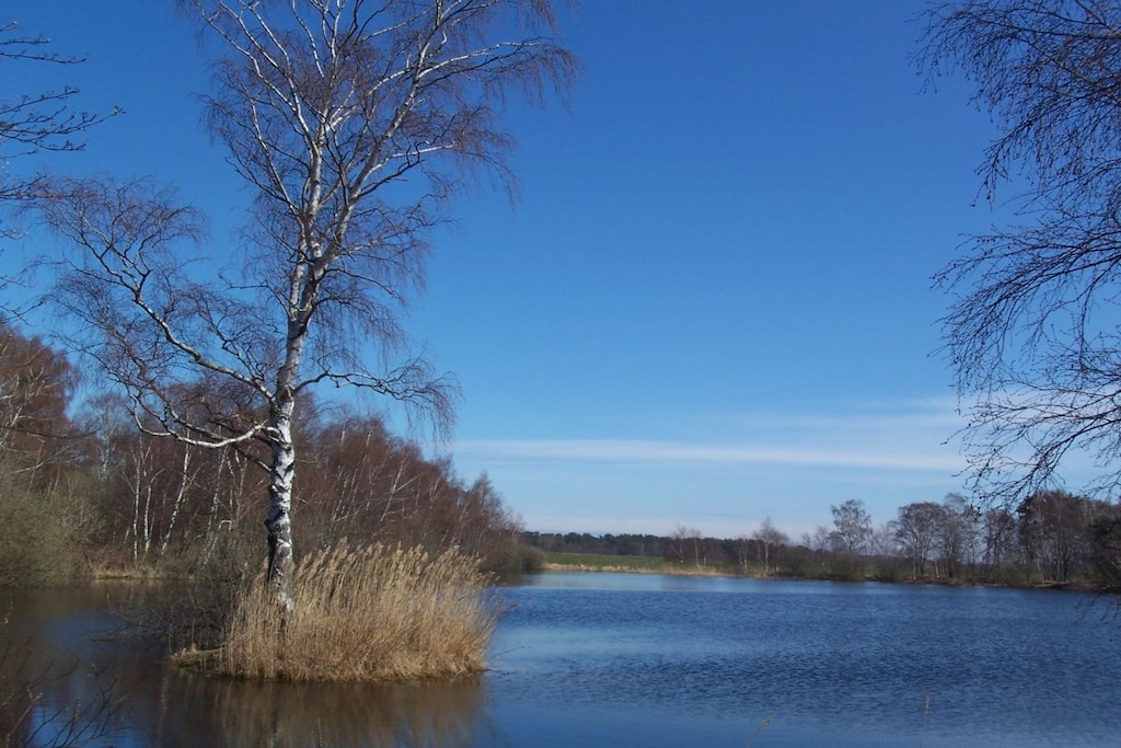 138239 - Niet-getagd