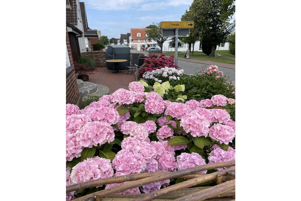 516141 - Niet-getagd
