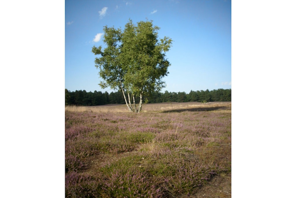 19083 - Niet-getagd