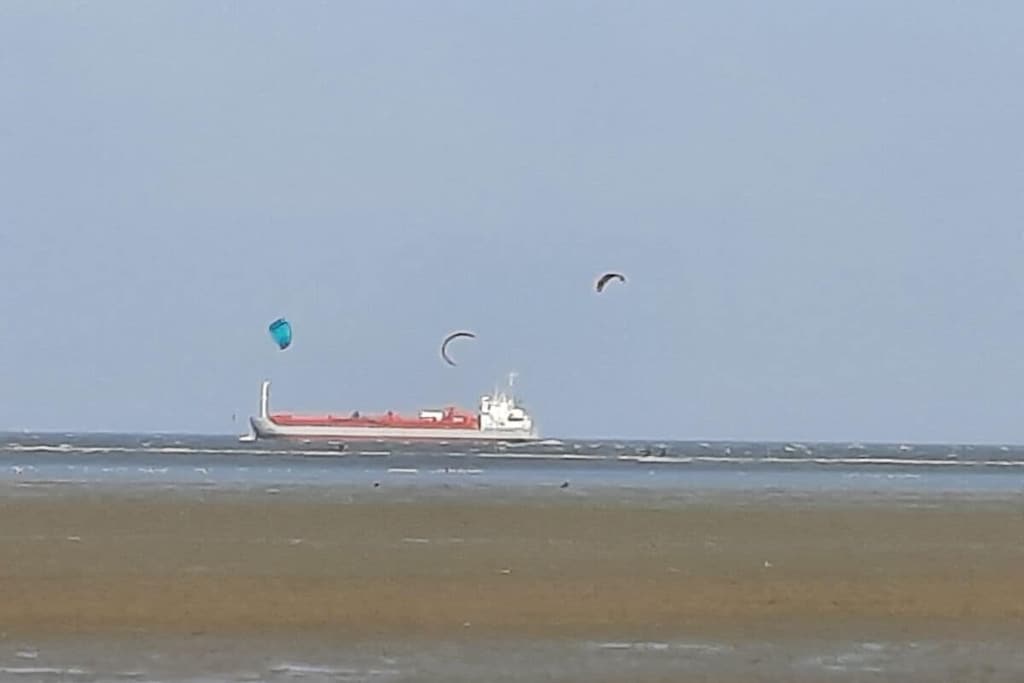 491158 - Niet-getagd