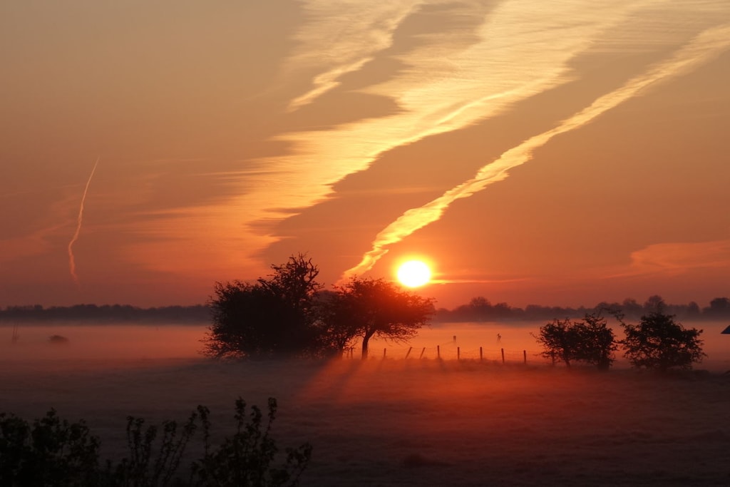 116408 - Niet-getagd