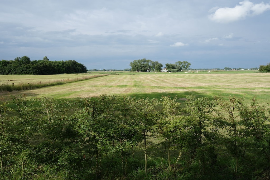116408 - Niet-getagd