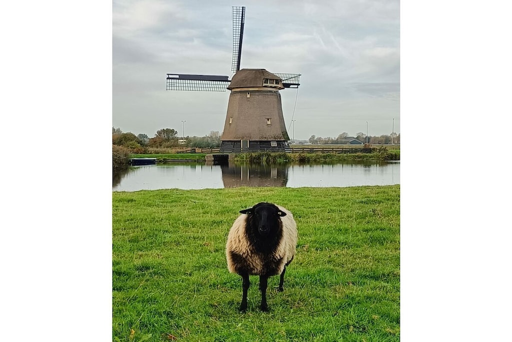 425893 - Niet-getagd
