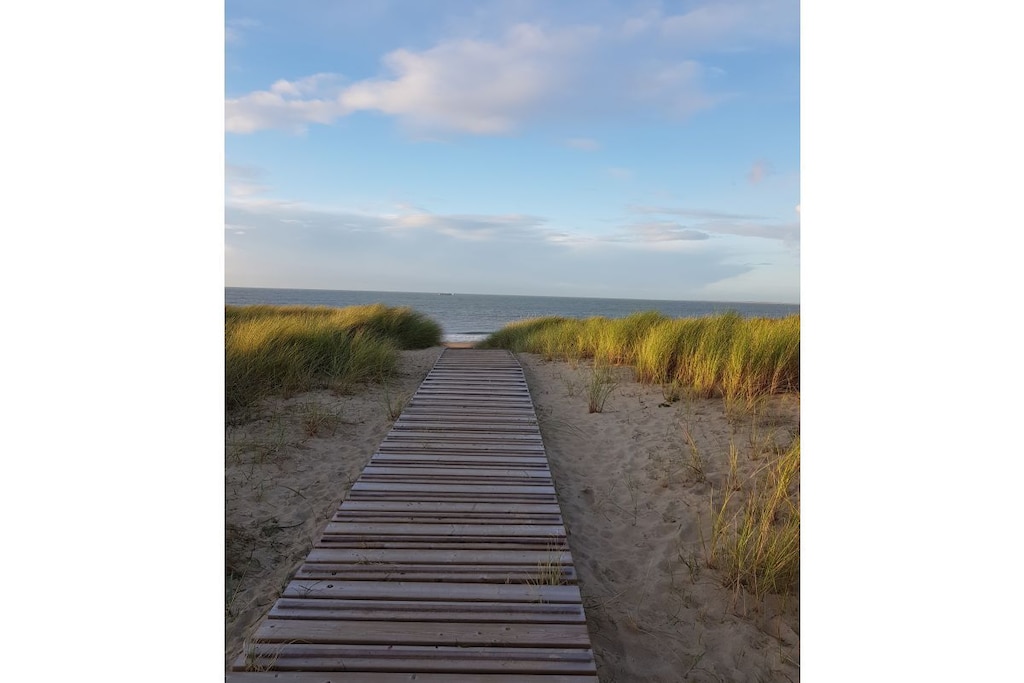 254816 - Niet-getagd