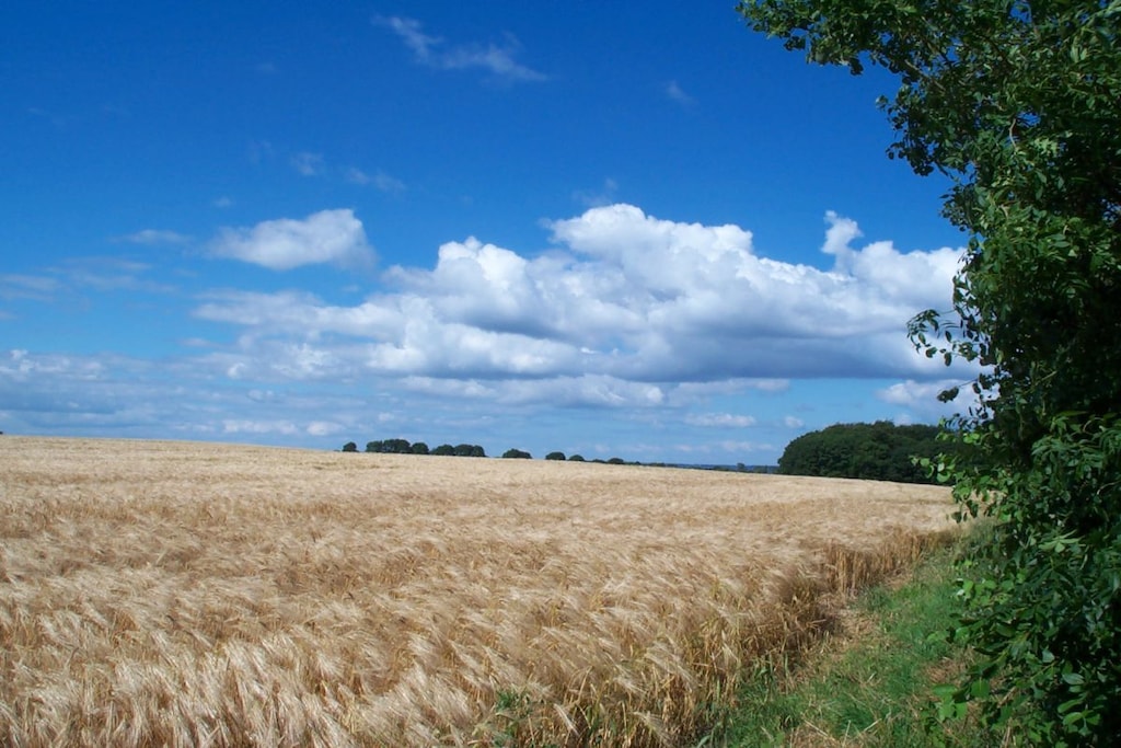 11836 - Niet-getagd