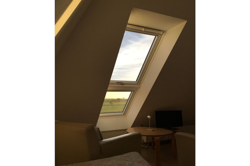 37026 - Niet-getagd