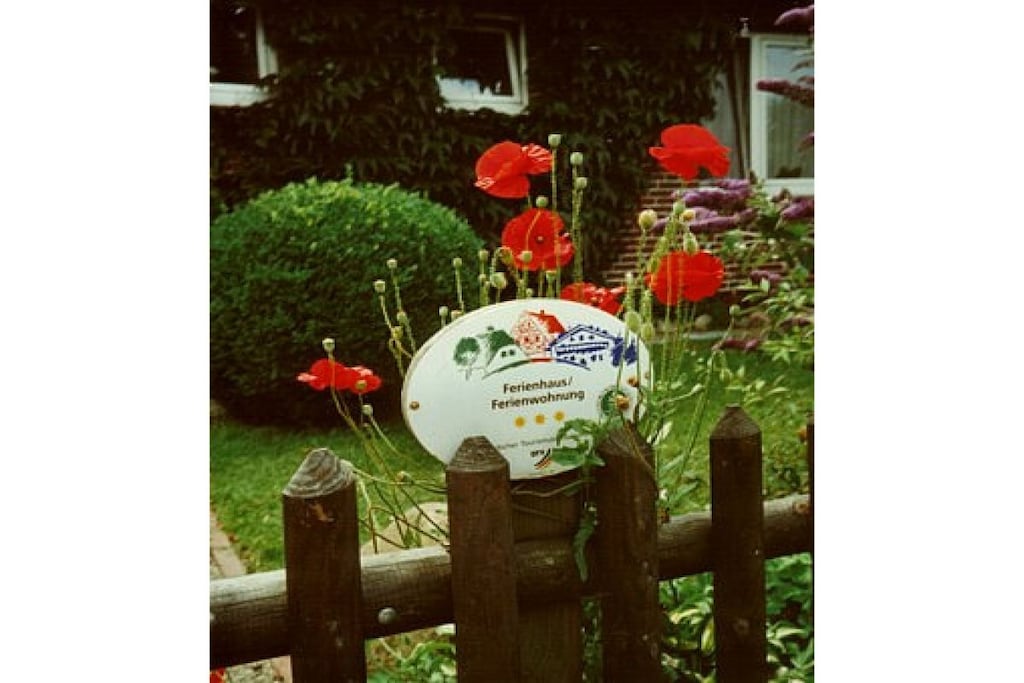 37026 - Niet-getagd