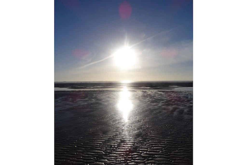 37026 - Niet-getagd