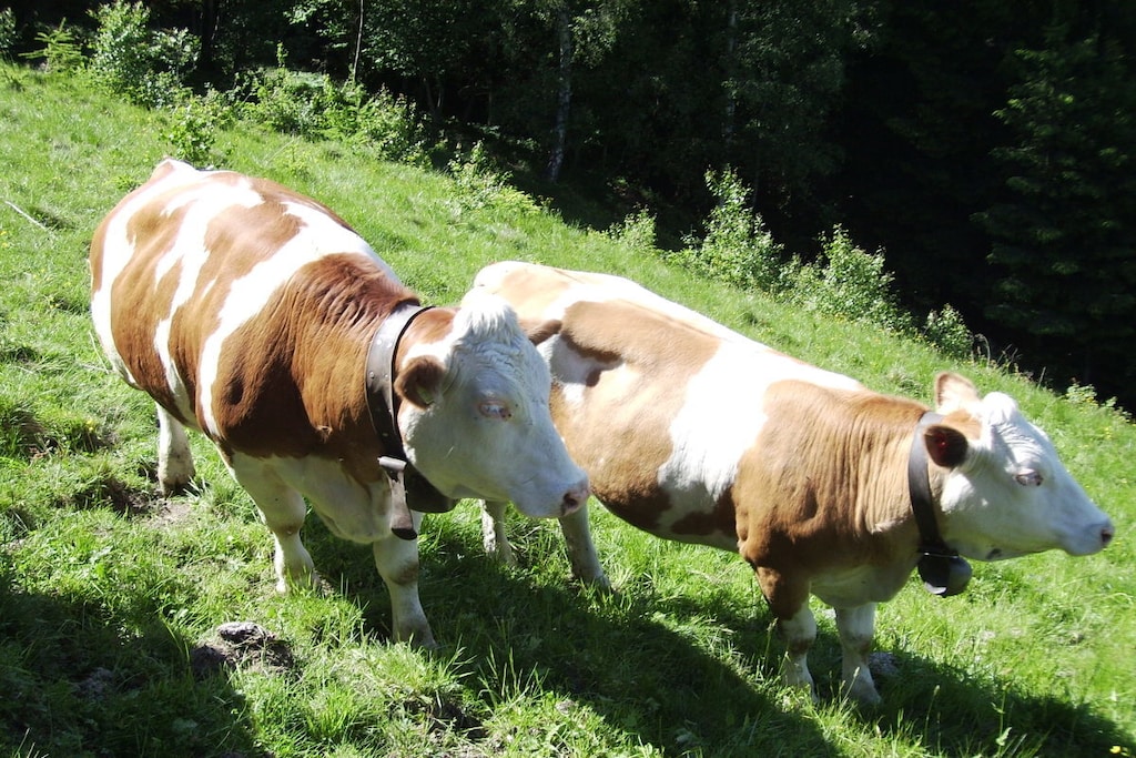 46254 - Nicht zugeordnet