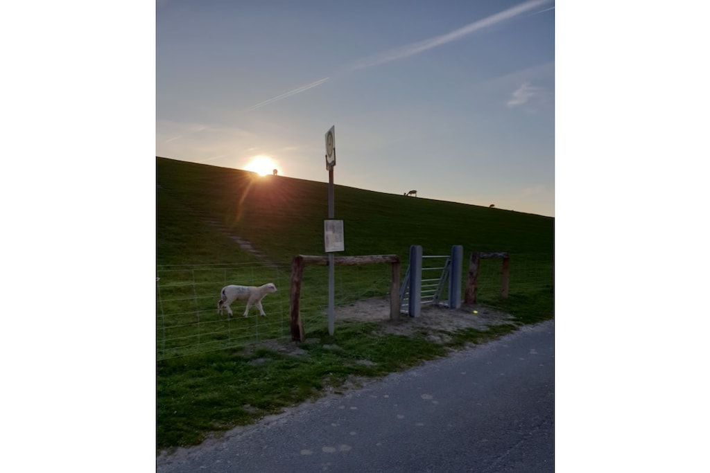 106864 - Niet-getagd
