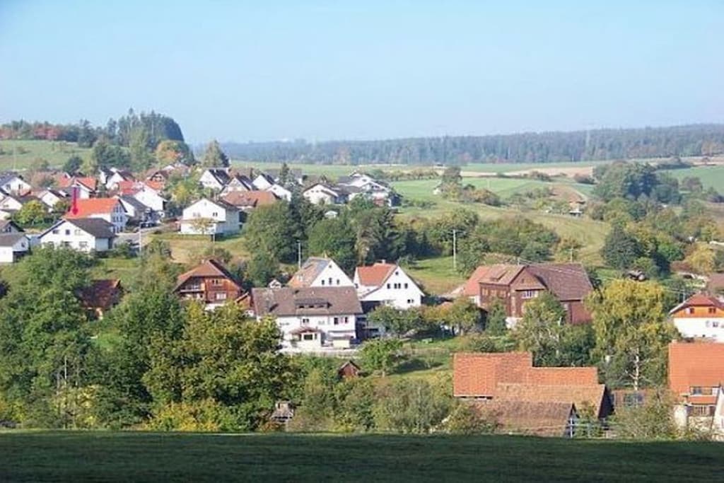 44166 - Non tagué