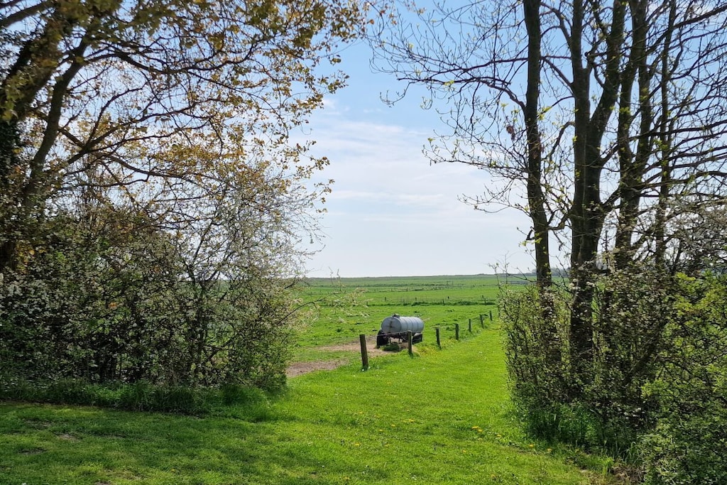 450887 - Niet-getagd