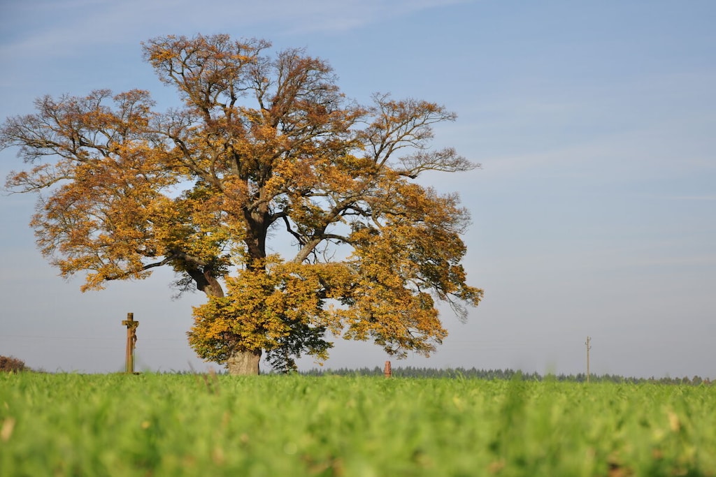 399184 - Niet-getagd