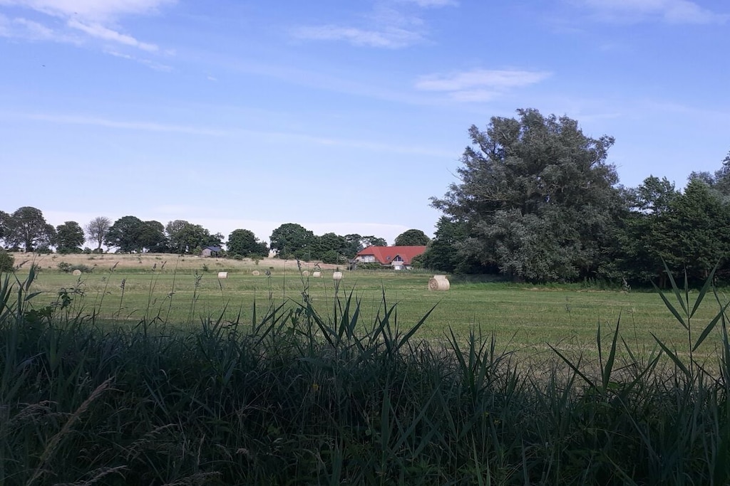440132 - Niet-getagd
