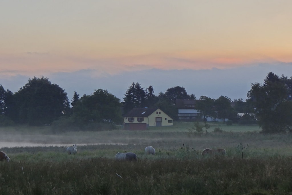 207617 - Niet-getagd