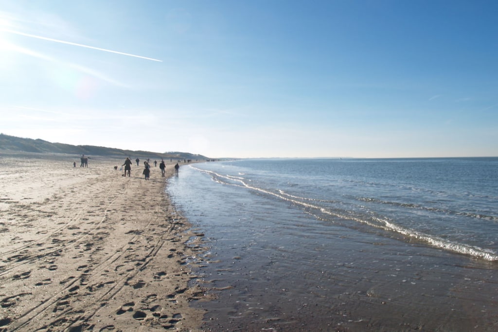 95395 - Niet-getagd