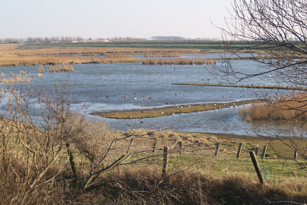 95395 - Niet-getagd