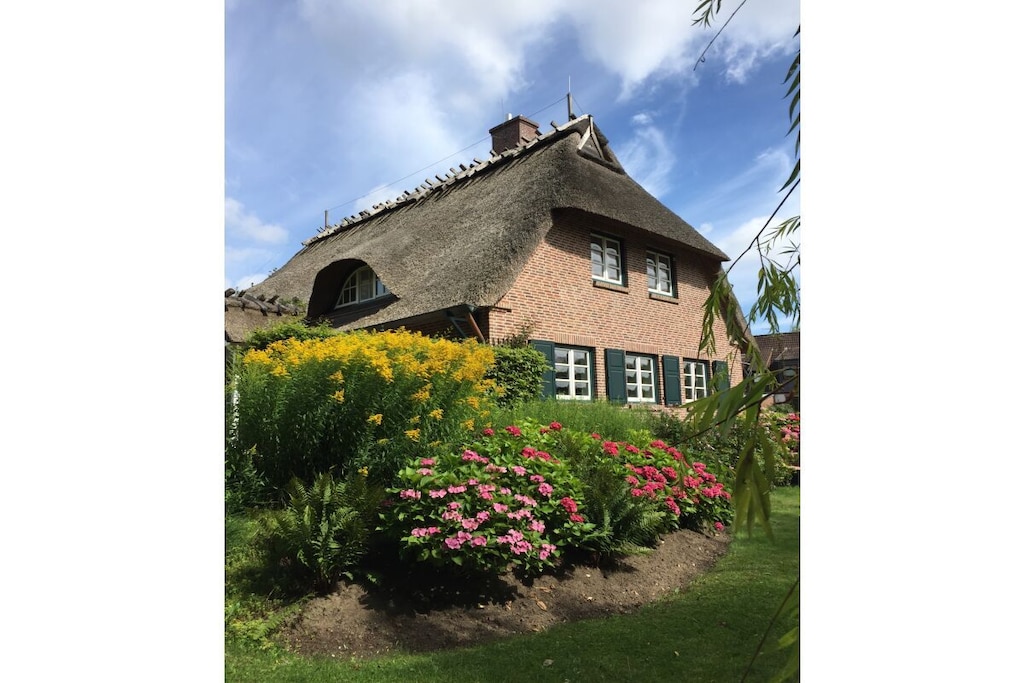 335113 - Niet-getagd