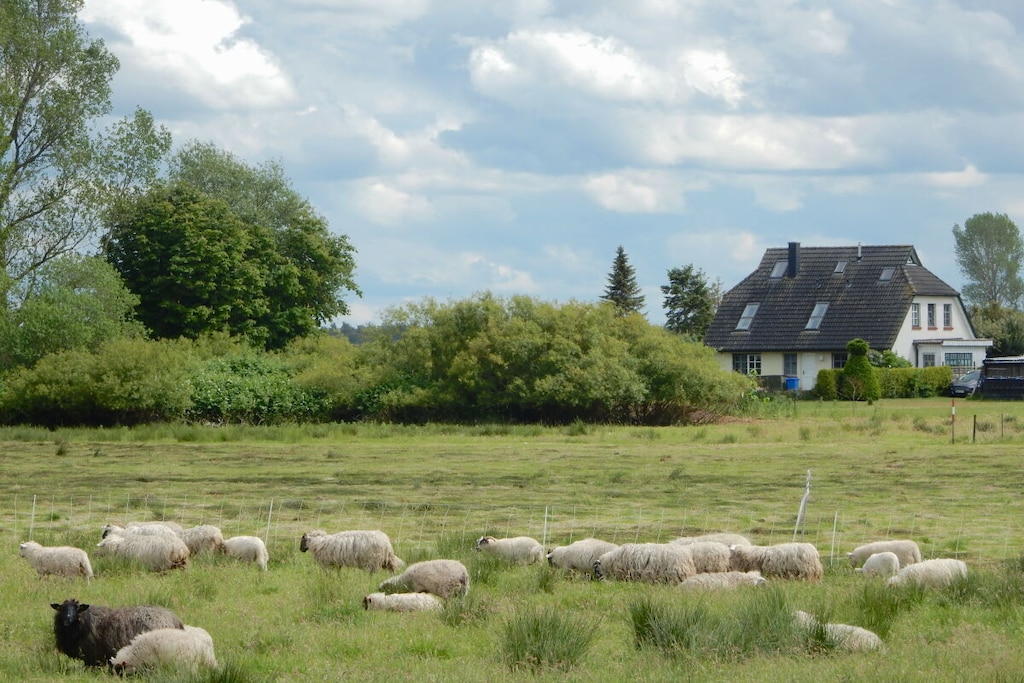 24741 - Niet-getagd