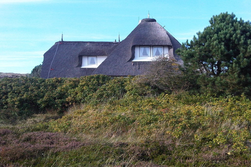53074 - Niet-getagd