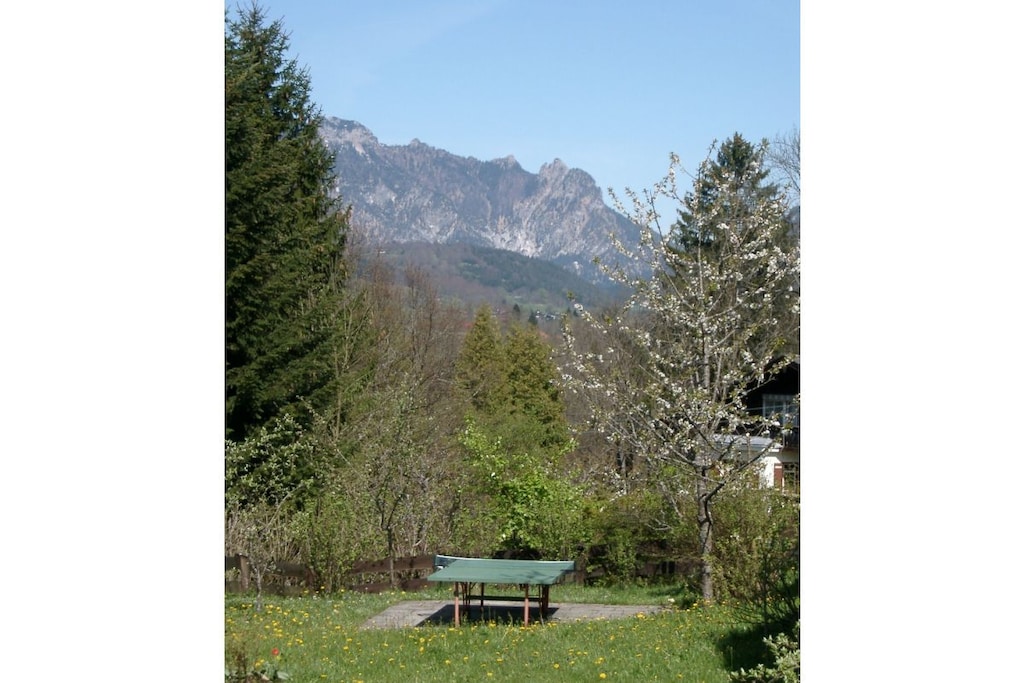 233001 - Nicht zugeordnet