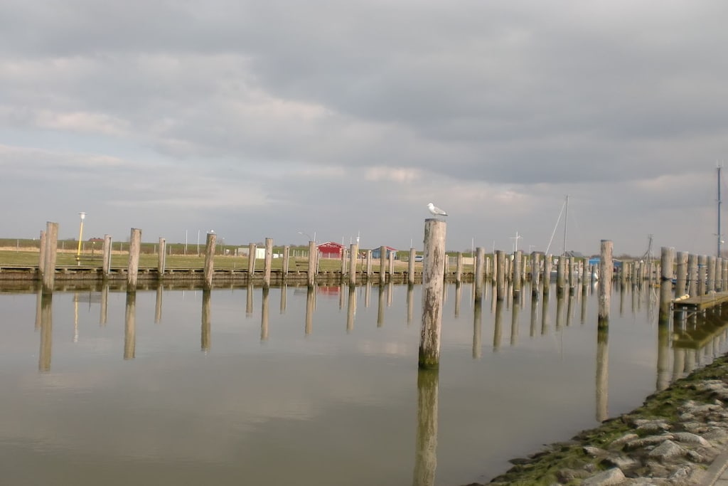 102569 - Niet-getagd