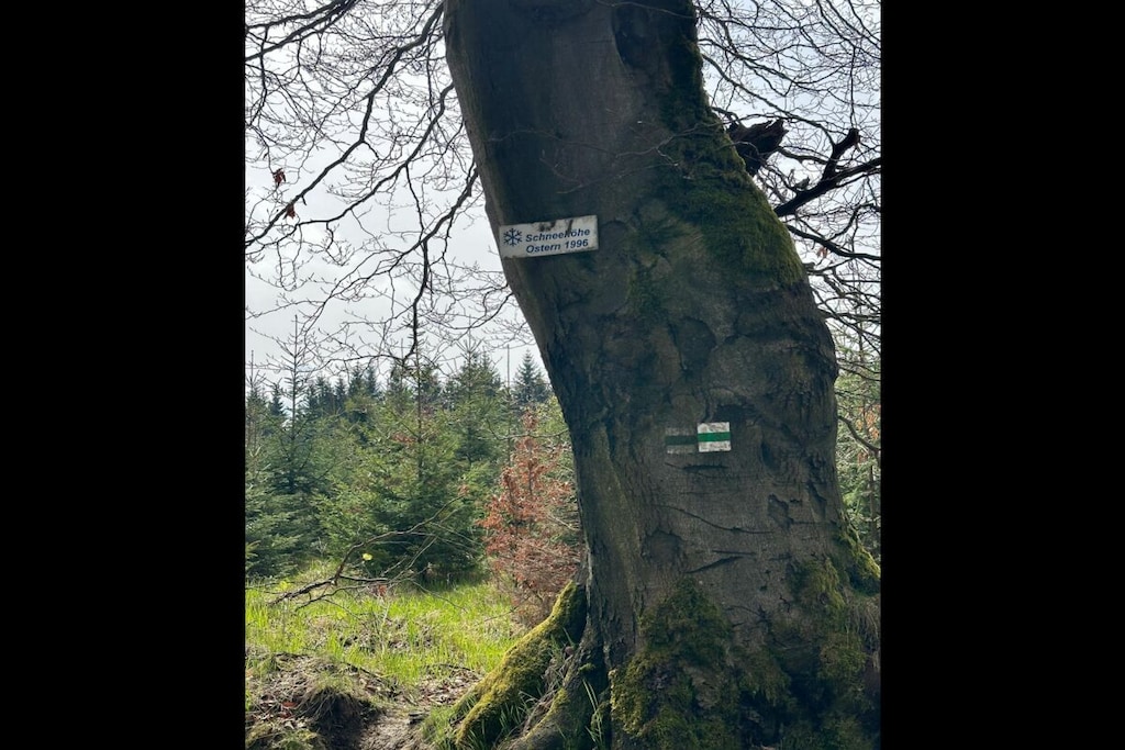 24650 - Niet-getagd