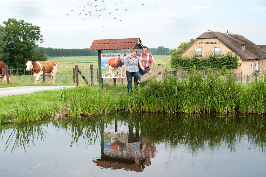 27133 - Niet-getagd