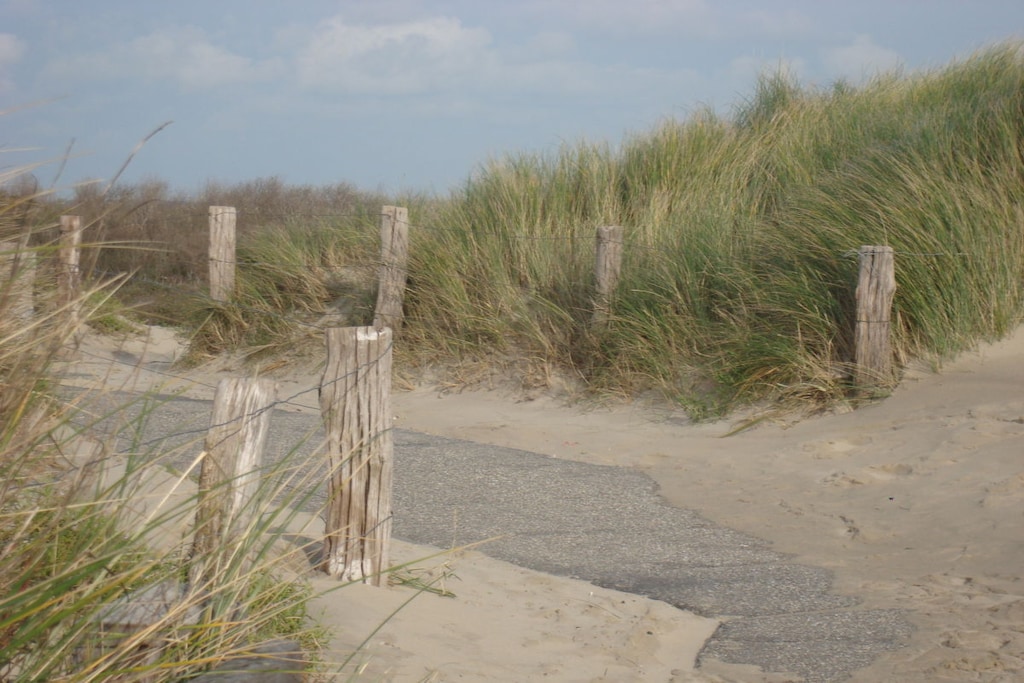 211610 - Niet-getagd