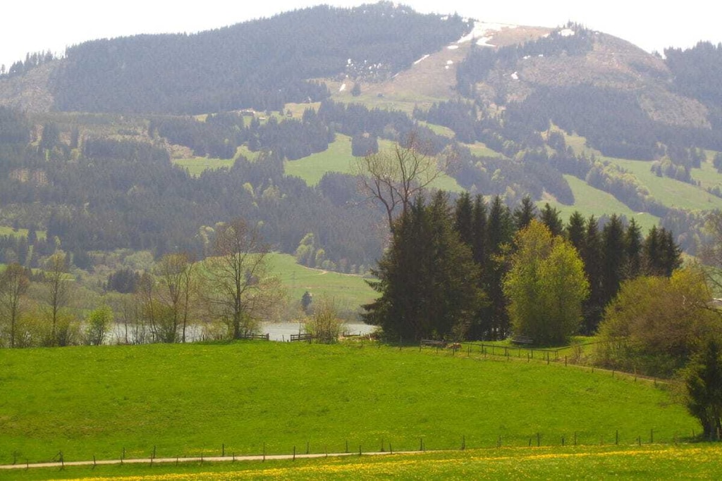 41479 - Nicht zugeordnet