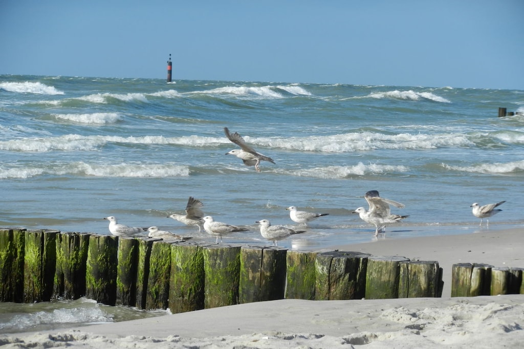240441 - Niet-getagd