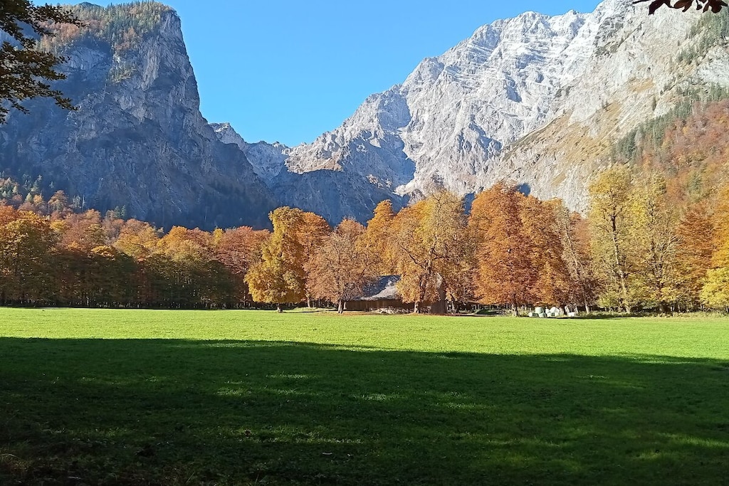 83146 - Nicht zugeordnet