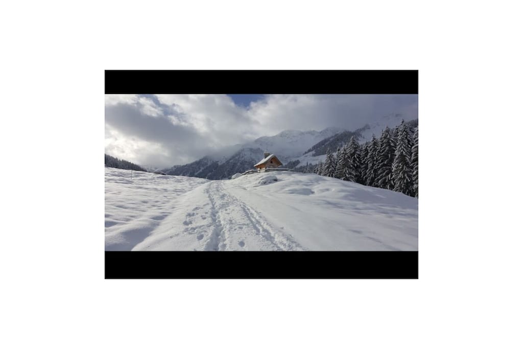 475943 - Nicht zugeordnet