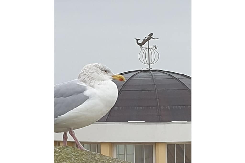 92401 - Niet-getagd