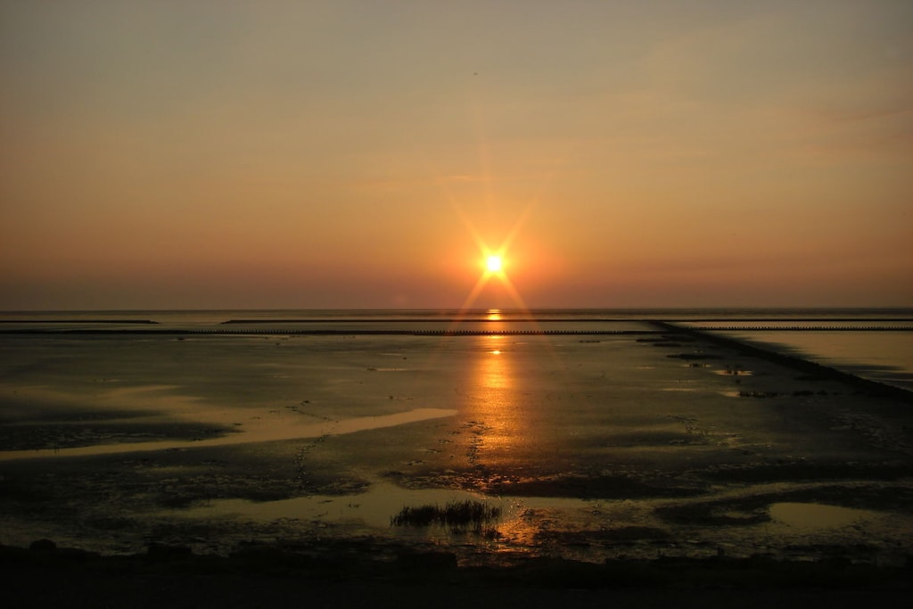 24542 - Niet-getagd