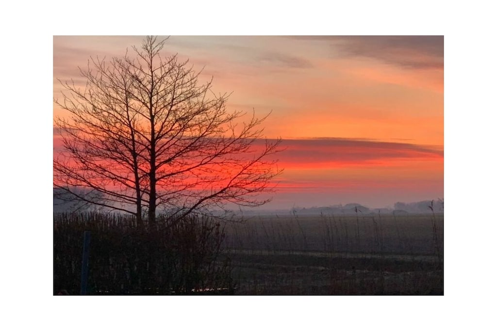 470039 - Niet-getagd
