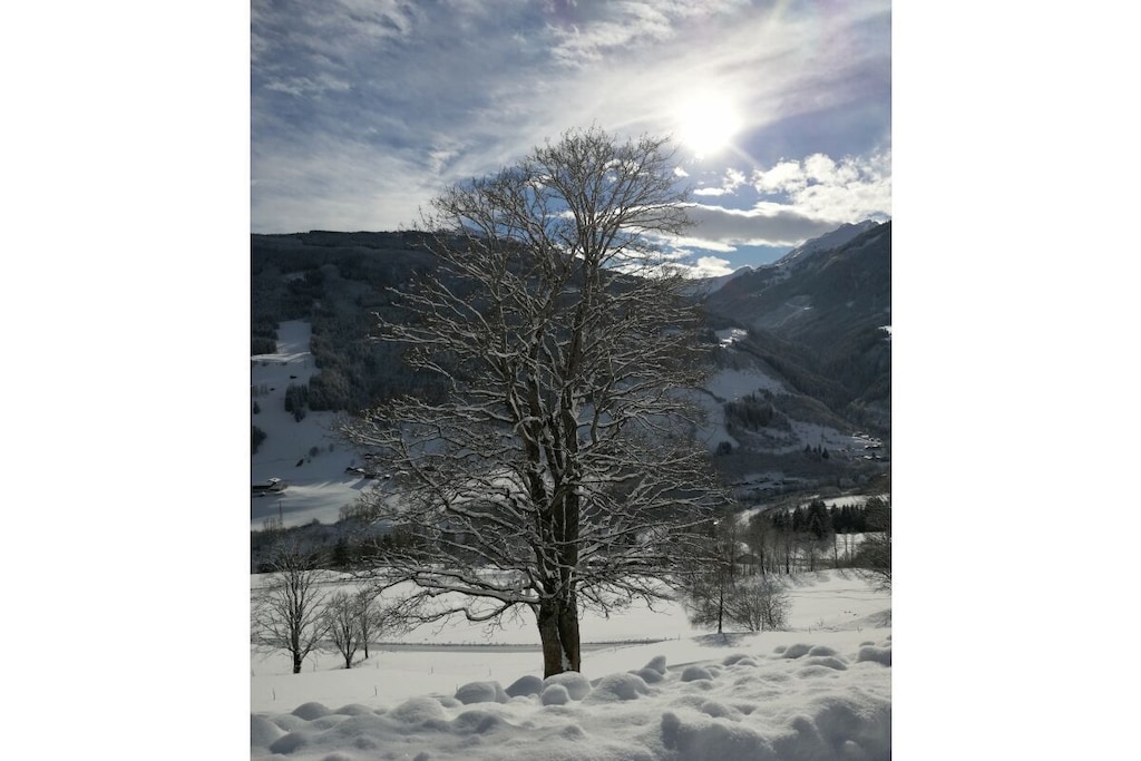 246465 - Nicht zugeordnet