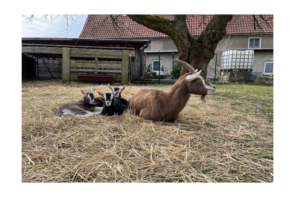 32141 - Niet-getagd
