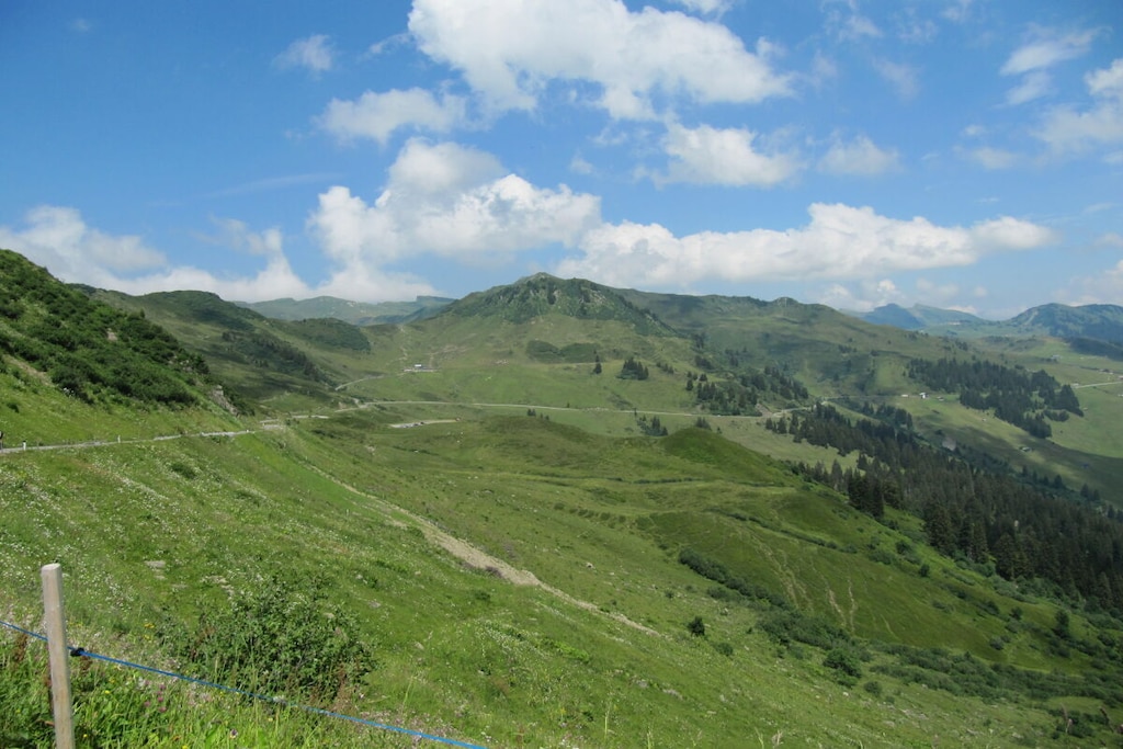 457762 - Non tagué