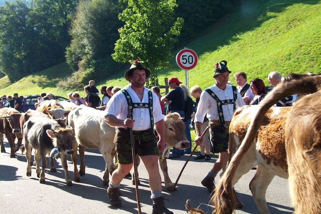 457762 - Non tagué