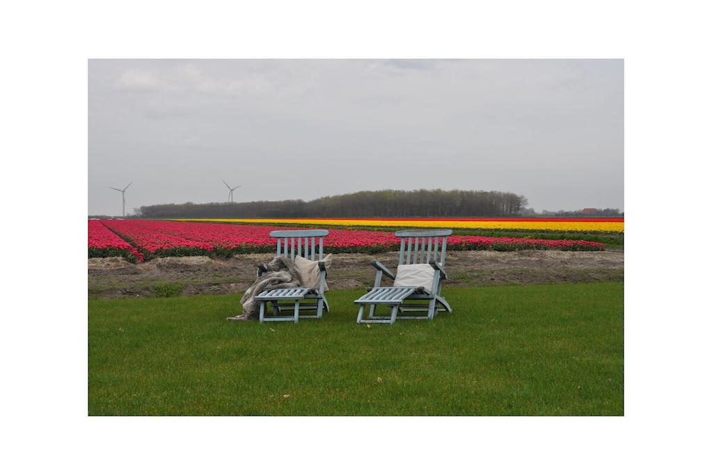 470038 - Niet-getagd
