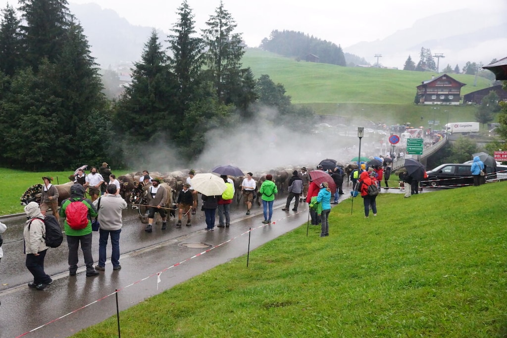 427860 - Nicht zugeordnet