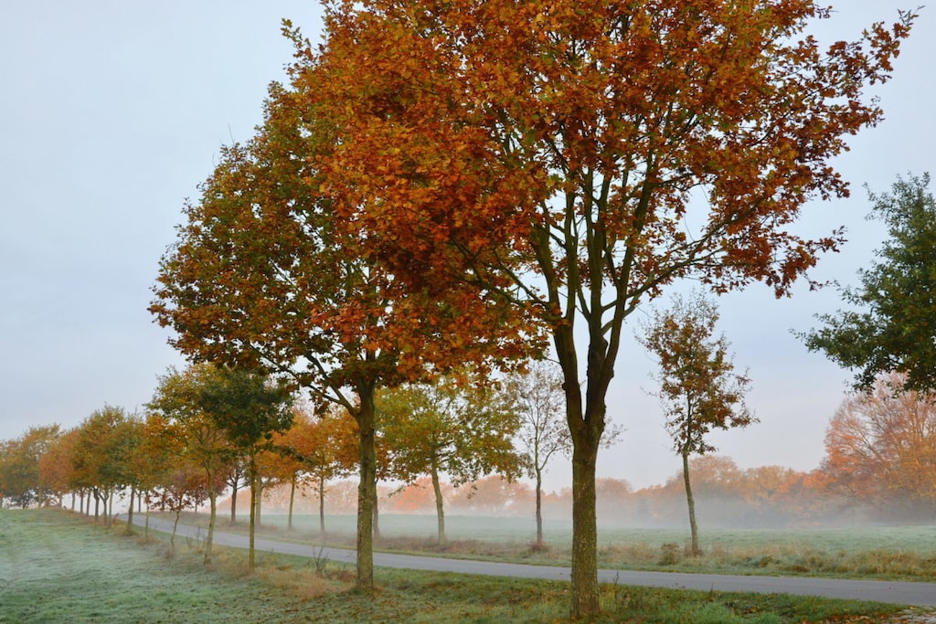 104253 - Niet-getagd