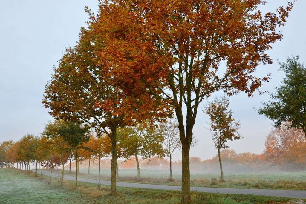 104252 - Niet-getagd