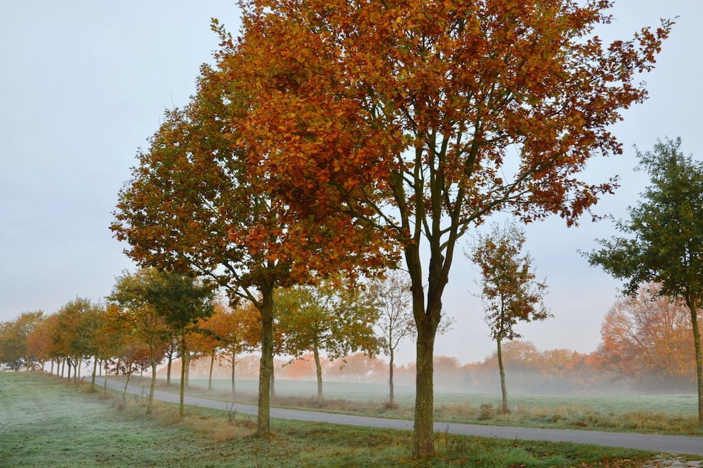 104254 - Niet-getagd