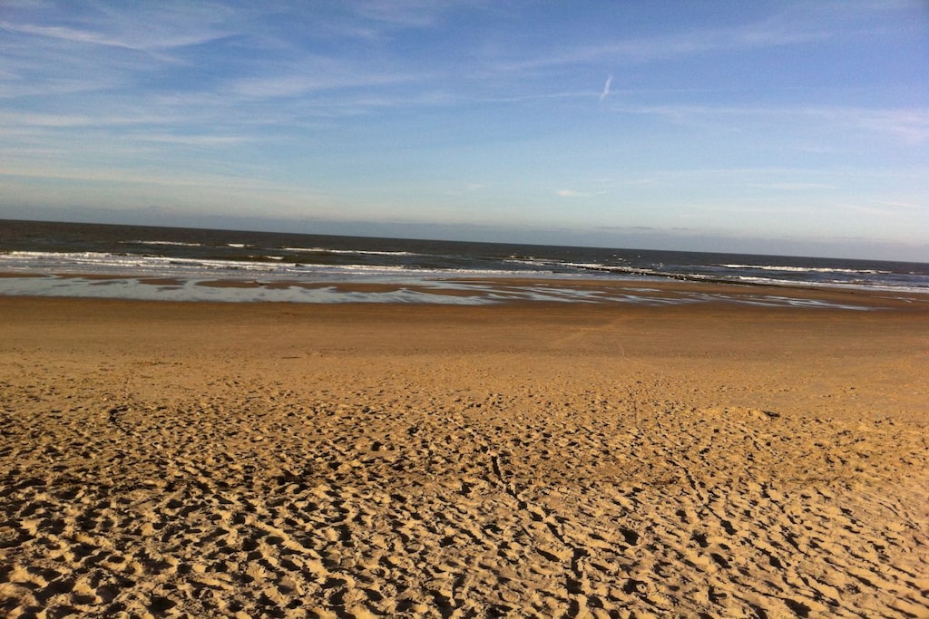 43890 - Niet-getagd