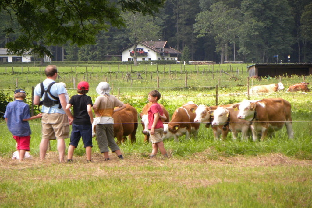 43396 - Niet-getagd