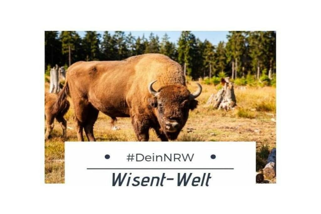 297538 - Niet-getagd