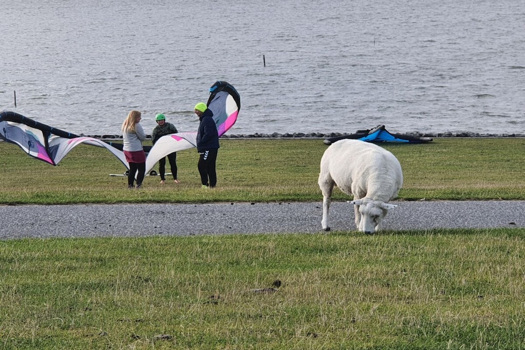 148336 - Niet-getagd