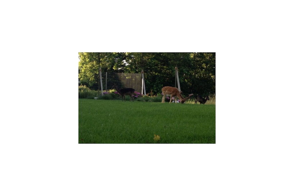 633078 - Niet-getagd